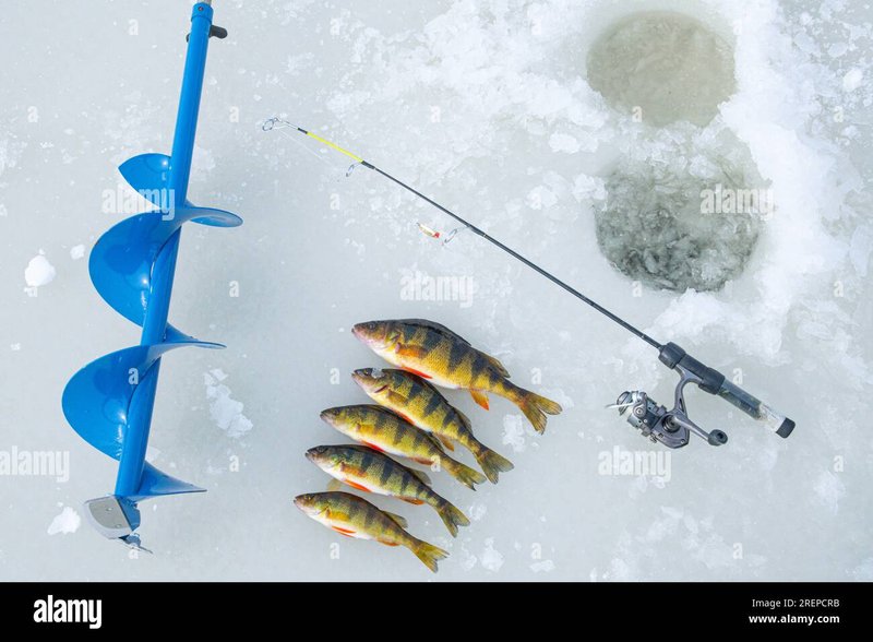 Evolution Gaming Brings Ice Fishing Live Casino to the UK Market - overview