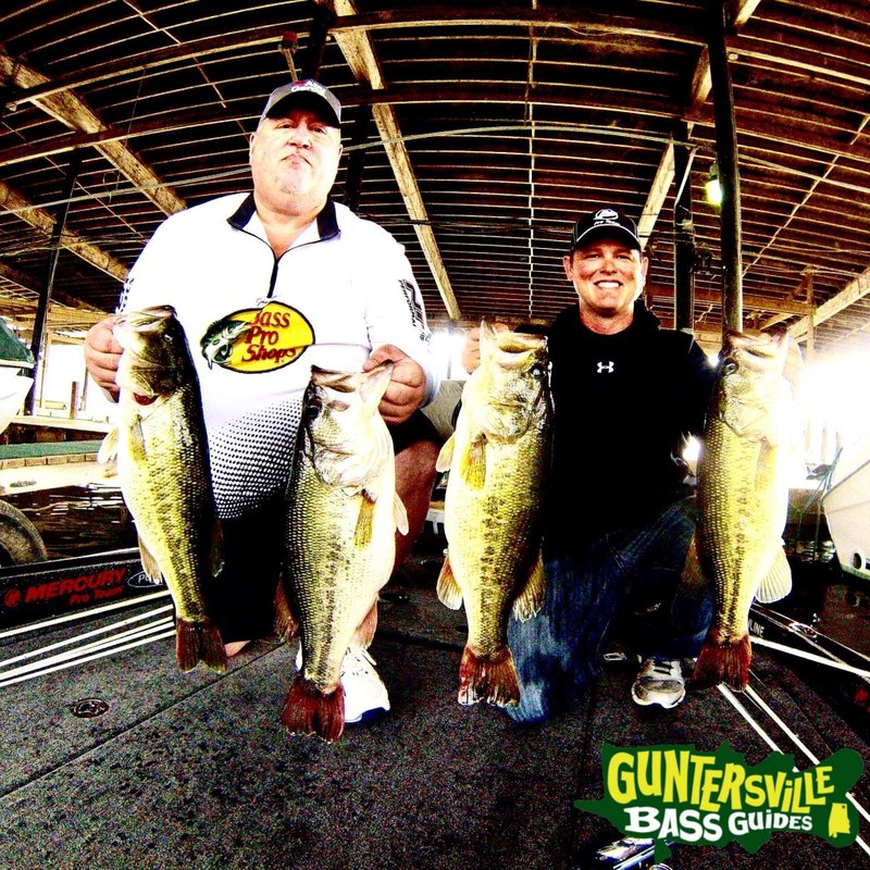 Big bass splash demo - Große Bassen-Spiele im Big Bass Splash Slot von Pragmatic Play